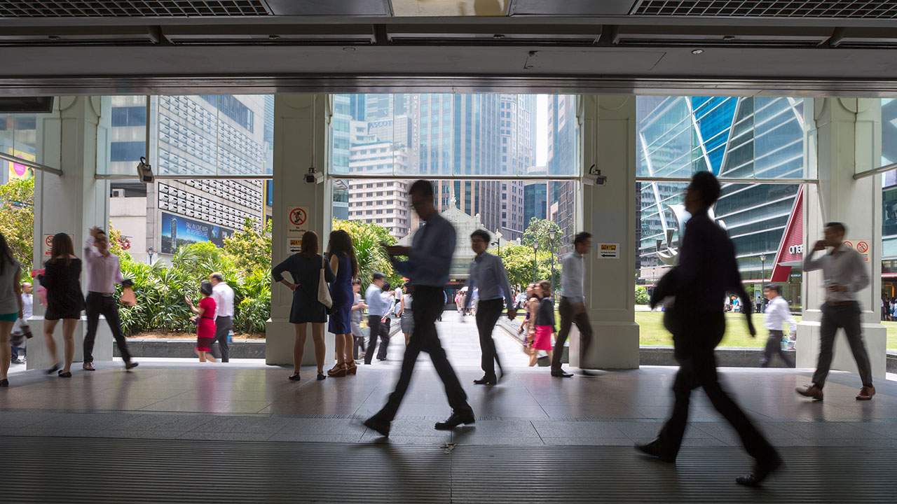 Zig-Zag-Image-HUB-RIMS-Property