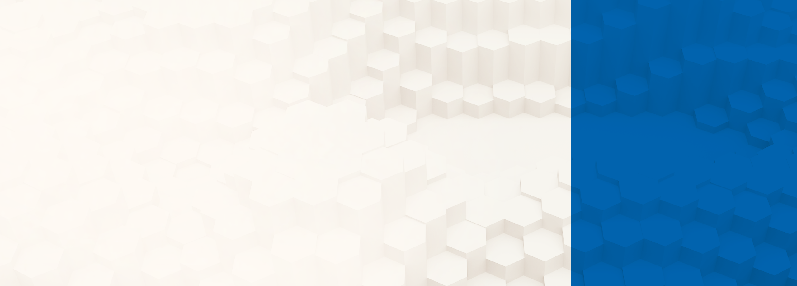 Outlook Mid-Year_Desktop - BG